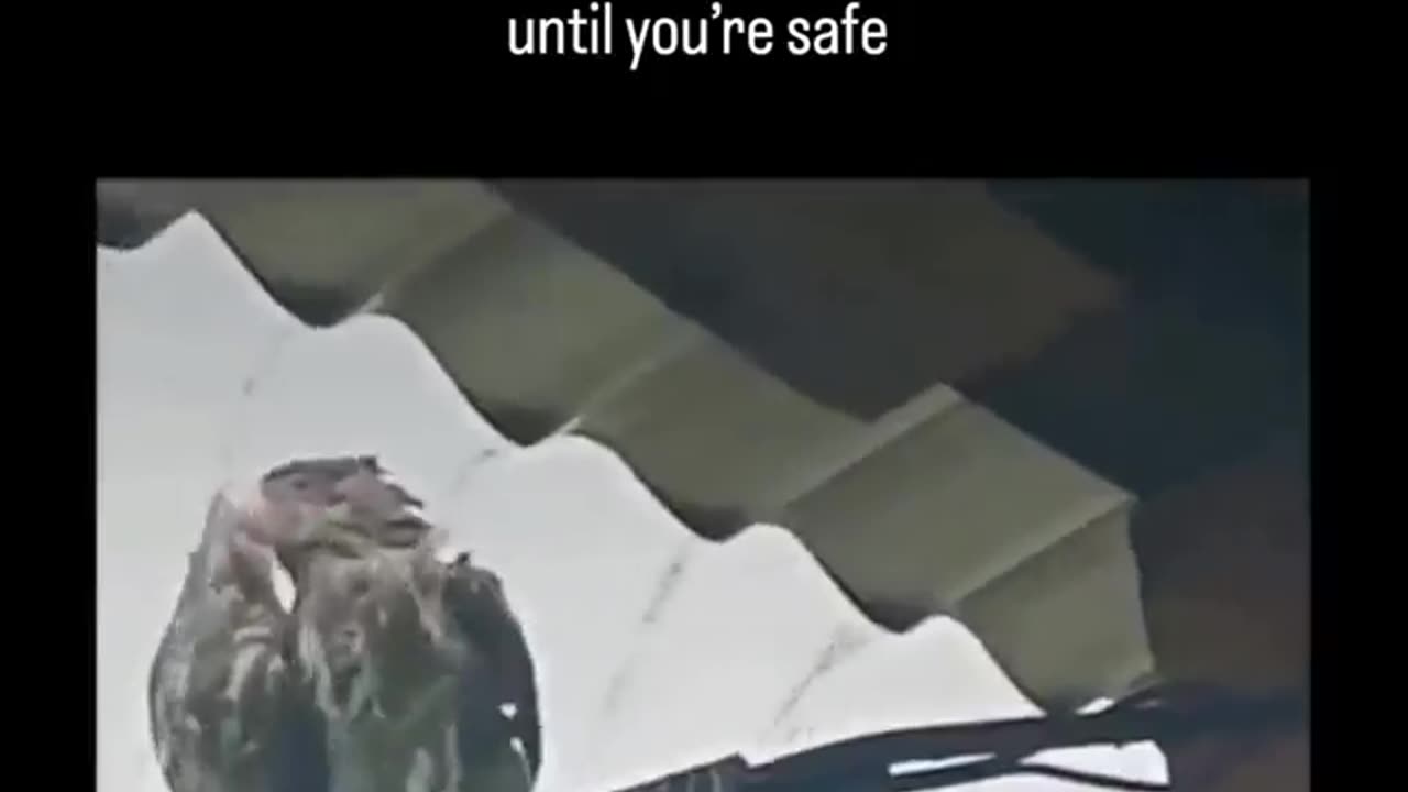 True leadership