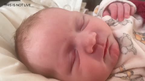 Baby Kayla: 24/7 Live Stream of Daily Updates from Birth to Day 78 and Beyond!