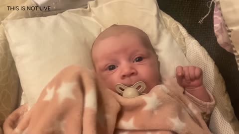 Baby Kayla: 24/7 Live Stream of Daily Updates from Birth to Day 78 and Beyond!