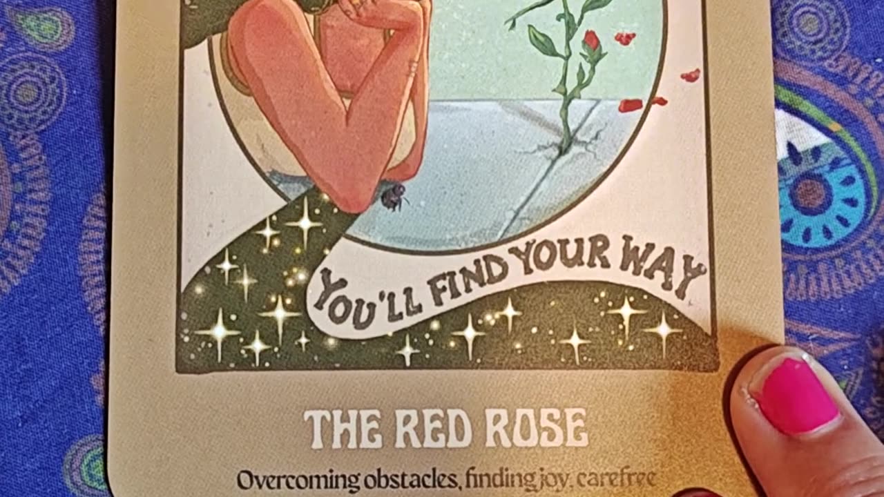 Oracle Card Reading 8/7/25