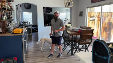 How to start loose leash walking with any dog.