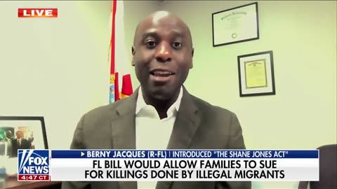 'Enough is enough': State bill would allow families to sue over migrant crime