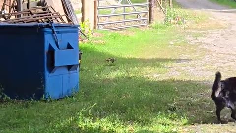 😌🐦 Living the Good Life! | FunFM