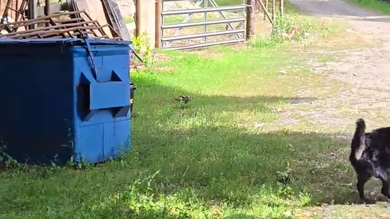 😌🐦 Living the Good Life! | FunFM
