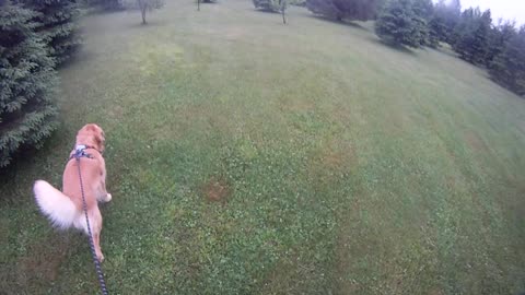 June 1st, 50º