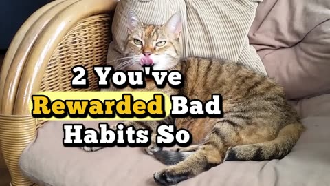 How to Break Your Lazy Brain Before It Breaks You