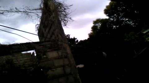 Un poco de viento y lluvia a partir de las 5:30 a. m. en Tacuarembó 16/11/2025