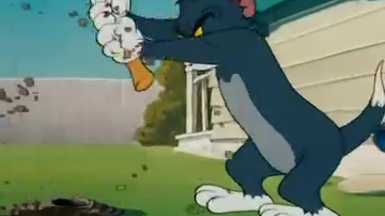 Tom and jarry funny vidieo