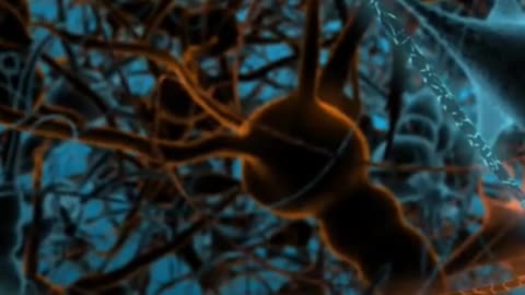 🧬 Understanding The Hidden Role Of Glycans In Our Body 🤯✨