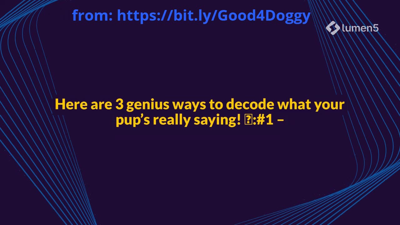 3 Genius Ways to Decode Your Dog’s Body Language Every Owner Should Know!