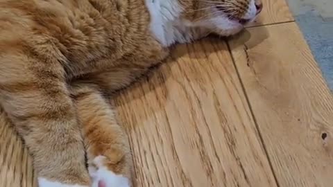 😂🤯 You Won't Believe What Happens When You're STARVING! | FunFM