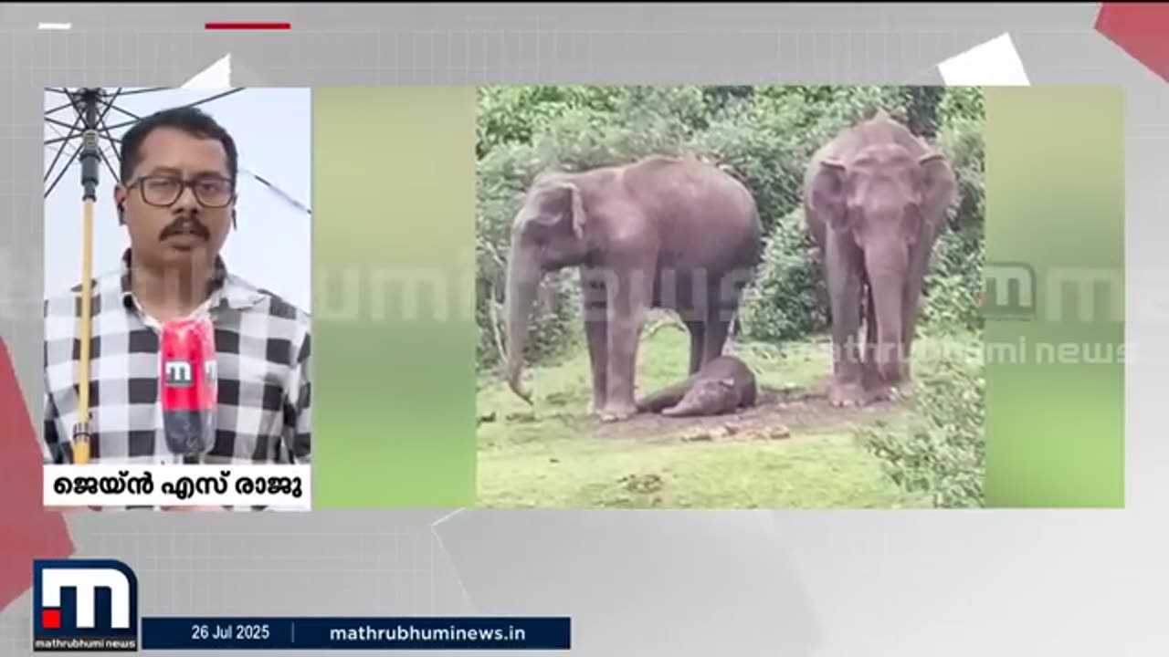 മൂന്നാർ_മാട്ടുപെട്ടിയിൽ_മൂന്ന്_മാസം_പ്രായമുള്ള_കുട്ടിയാന_ചരിഞ്ഞു___Elephant___Munnaro