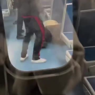 Fight on train