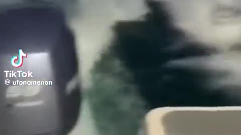 😱🌊 You Won't Believe What Lurks Beneath the Waves! Ocean Horror | TheHauntingHour