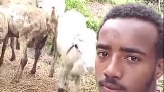 🤣🤯 You Won't Believe What Happens Next! | FunFM