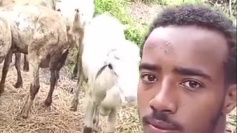 🤣🤯 You Won't Believe What Happens Next! | FunFM