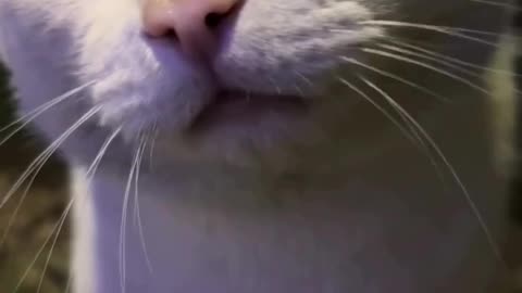 Are you okay?🥹😿