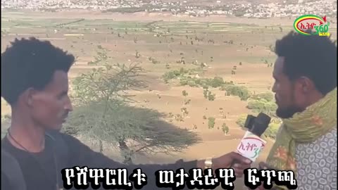 የሸዋሮቢቱ ወታደራዊ ፍጥጫ