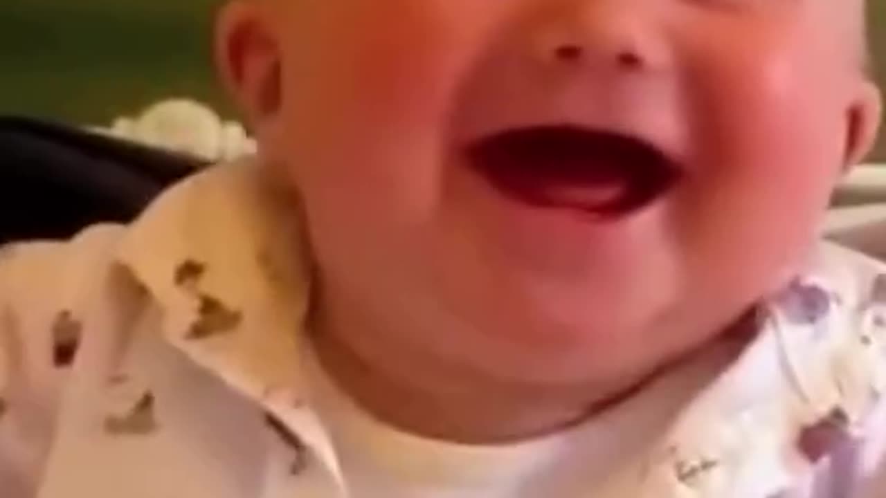 🤣 🐥 🐥🐥