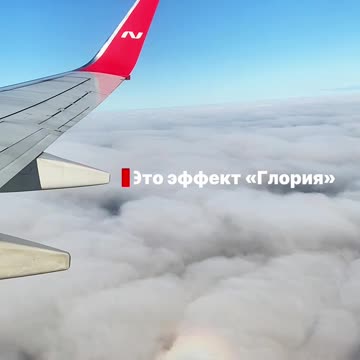 The airplane glides above the clouds and around its shadow is a shining rainbow ring