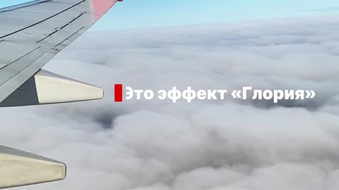 The airplane glides above the clouds and around its shadow is a shining rainbow ring