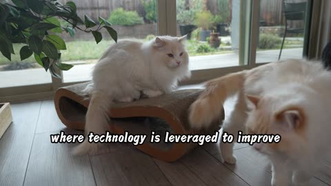 PawTechPet Automatic Self-Cleaning Litter Box: A Healthier, More Comfortable Life for Your Pet