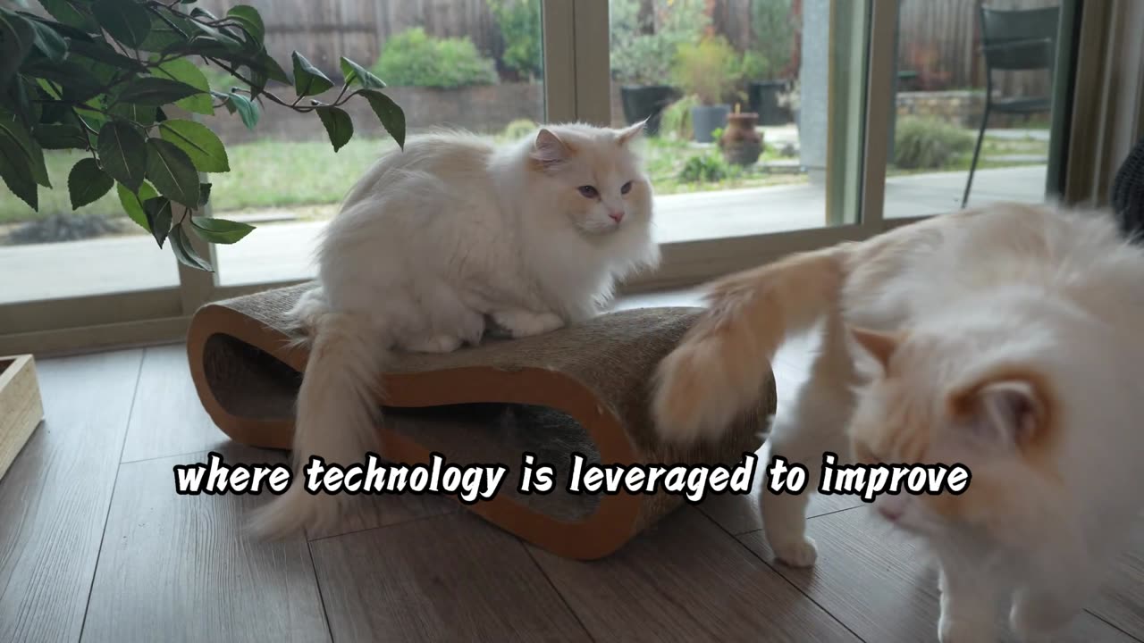 PawTechPet Automatic Self-Cleaning Litter Box: A Healthier, More Comfortable Life for Your Pet