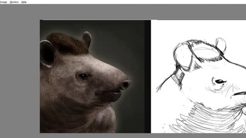 Tapir boi