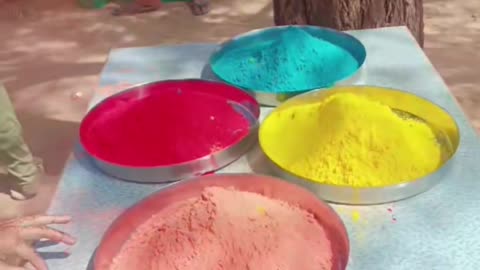 Holi glips