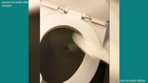 funny accidents 😄