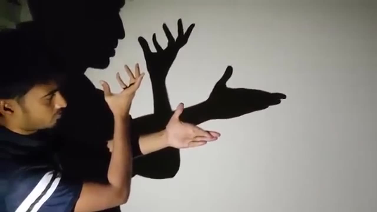 Hand Shadow Techniques
