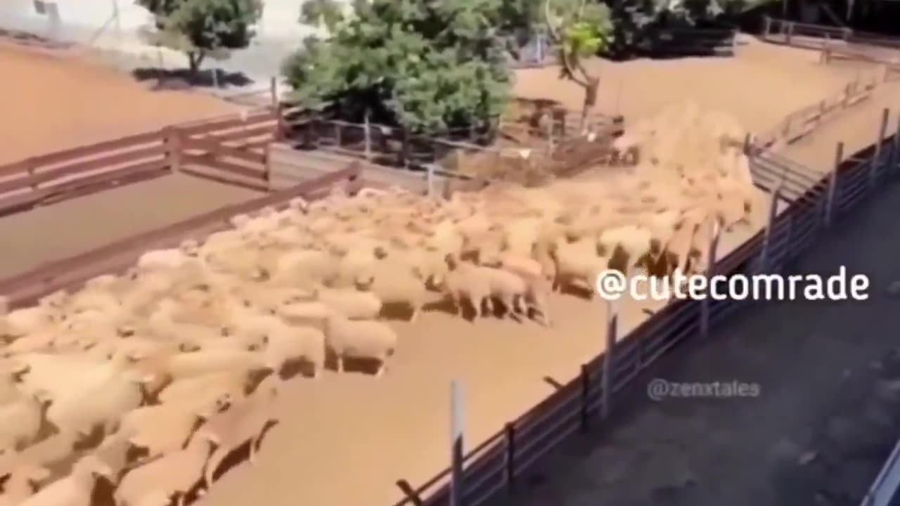 Clearing Traffic Jam