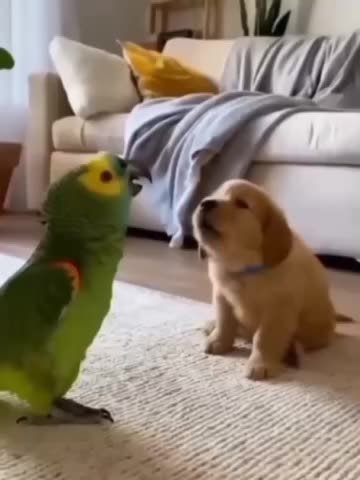 I hate Mondays, how about Youuuuuuuuuuu 🤣