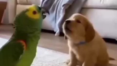 I hate Mondays, how about Youuuuuuuuuuu 🤣