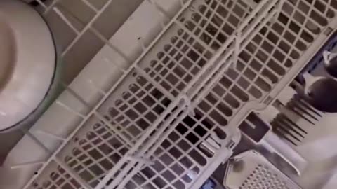 🤔🚪 Why Won't My Dishwasher Close? The Hidden Culprit! | FunFM