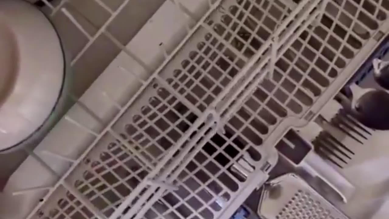 🤔🚪 Why Won't My Dishwasher Close? The Hidden Culprit! | FunFM