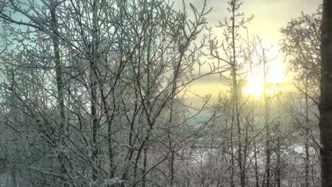 A short word for the week ahead.