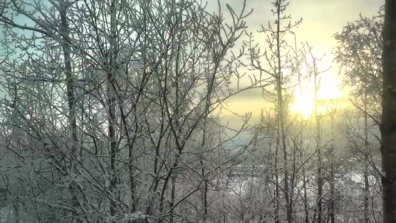 A short word for the week ahead.