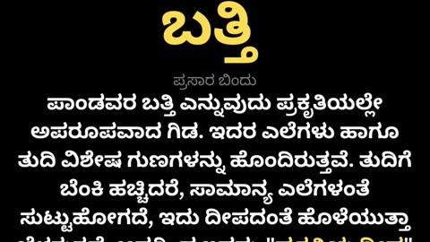 ಪಾಂಡವರ ಬತ್ತಿ