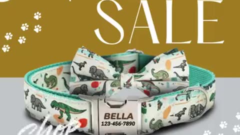 Stylish Dog Collar with Bow | Cute Custom Dog Collar with Name