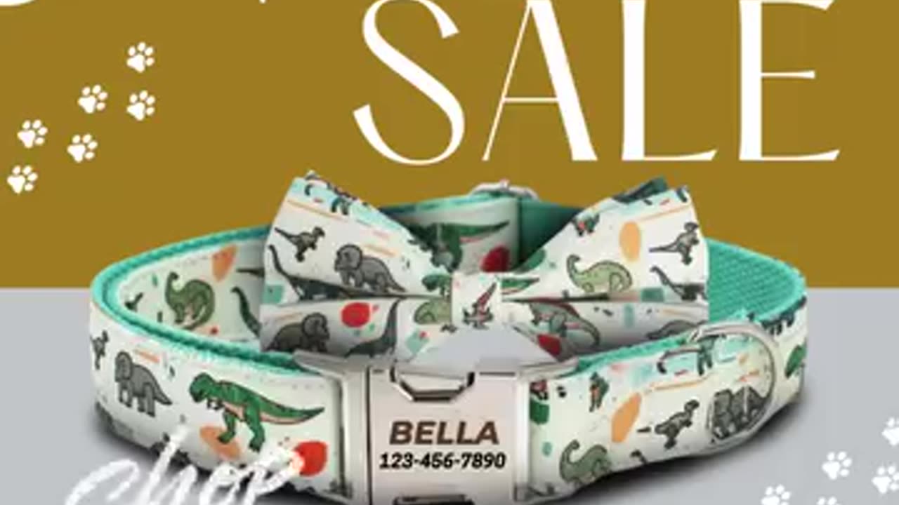 Stylish Dog Collar with Bow | Cute Custom Dog Collar with Name