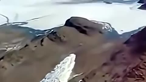 ANTARCTICAS Alien