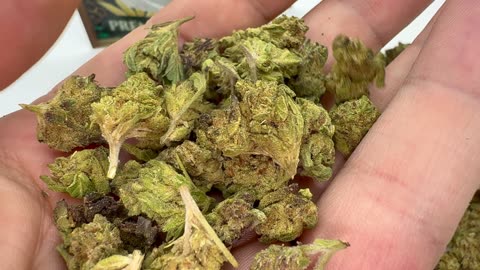 What Is The BEST Strain to BUY from THCA KING!? Let's Talk About It! The Dank Flamingo Review!