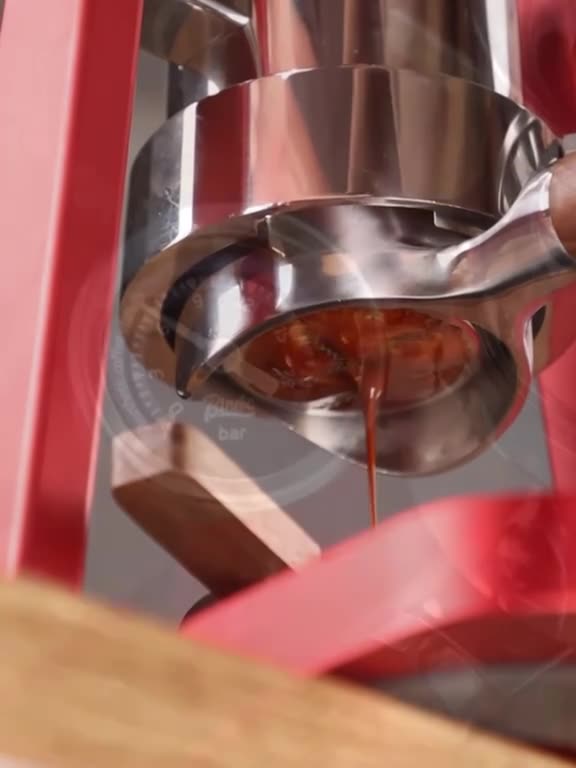 Bincoo Hand Pressed Coffee Machine Double Pull Rod Manual Italian Concentrator Extraction