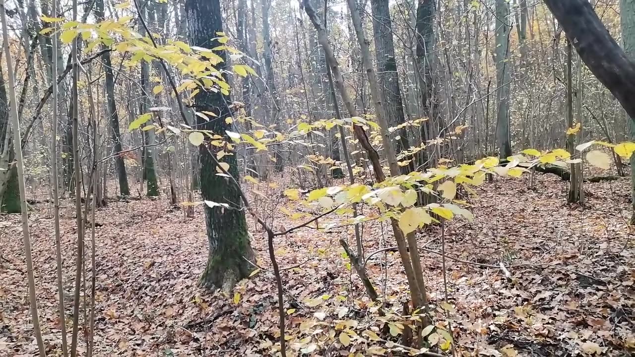 co za piękny dzień ...