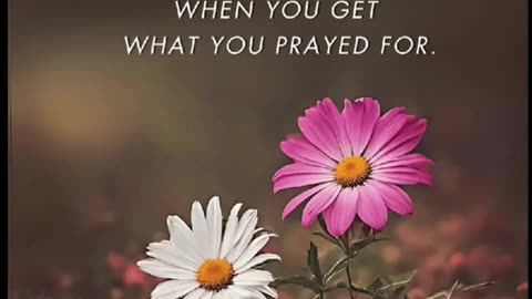 🙏🕊️ Daily Prayer | Glorify God with a Heart Full of Praise | InGodWeTrustDaily