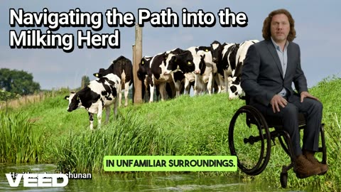 Moo-ving Forward:Navigating the Path into the Milking Herd