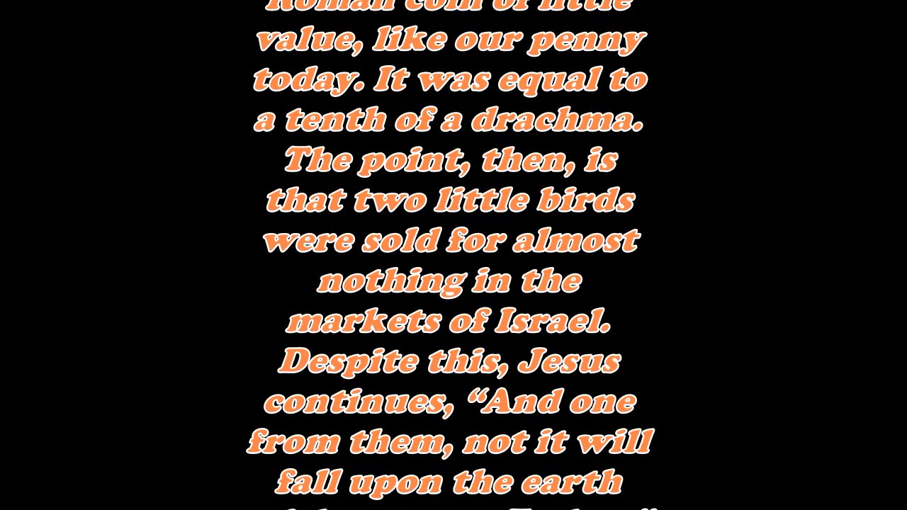 Matthew 10:29 - Daily Bible Verse Commentary