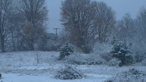 First Snow of the Season