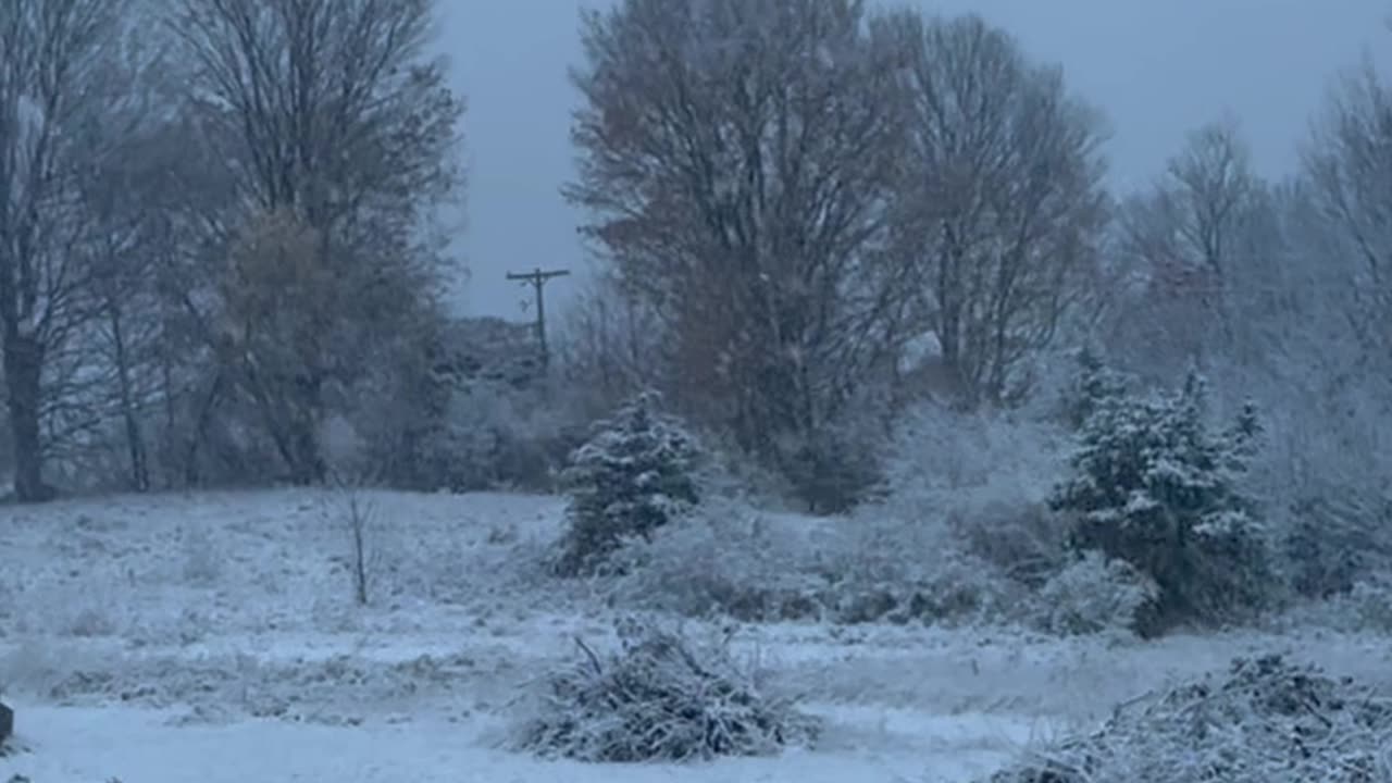 First Snow of the Season